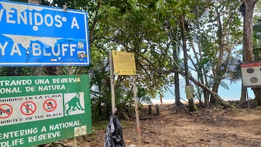 MOP pavimenta la naturaleza de Isla Colón, provincia de Bocas del Toro