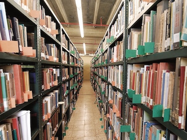 Variaciones sobre la biblioteca