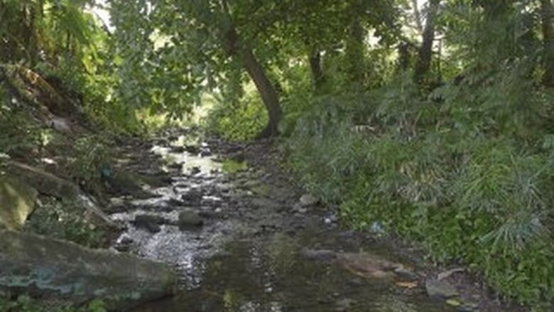 Río que brilla, río que muere