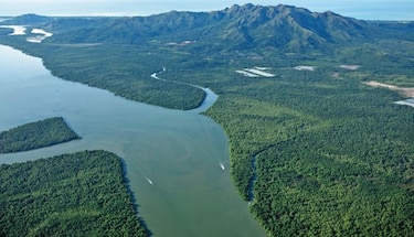 Equilibrio ecológico en un ecosistema de manglar en el Pacífico