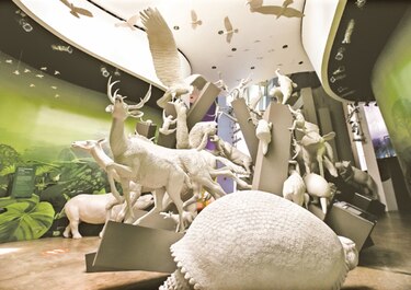 Seis años del Biomuseo