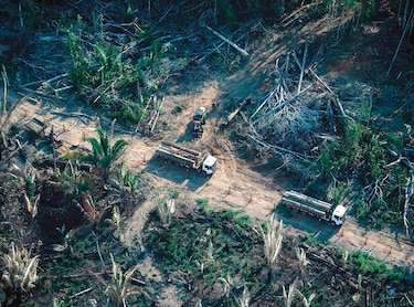La Amazonía, un paraíso que está casi perdido 