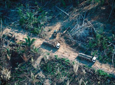 La Amazonía, un paraíso que está casi perdido