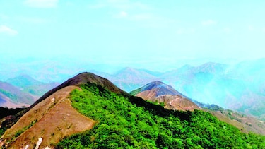 En trámite, prórroga a mina Cerro Quema