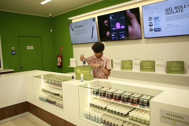 Primera farmacia de cannabis medicinal abre en Panamá en fase inicial con CBD