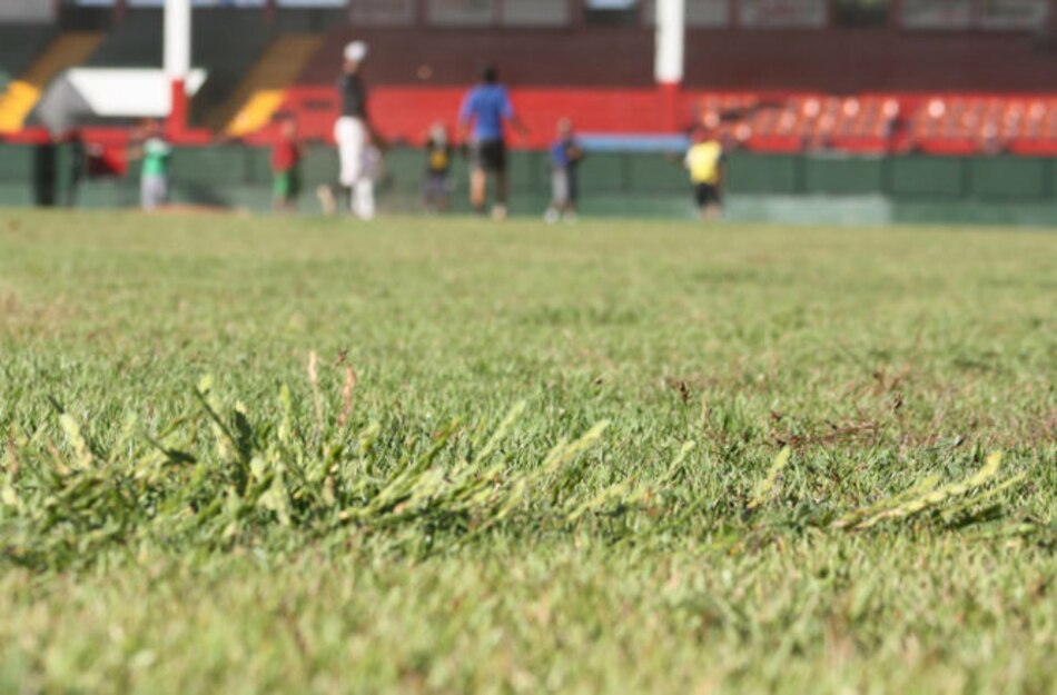 Grama del Kenny Serracín, invadida por malezas y hongos