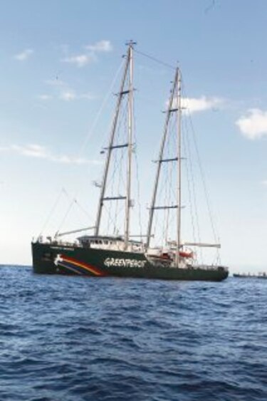 Greenpeace denuncia en Panamá la caza de ballenas