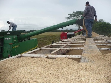 Panamá: de la agricultura de subsistencia a la agricultura de precisión exportadora