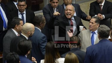 Roces en el pleno por las reformas: Adames reclama a Ávila, y Cano pide reconocer el matrimonio hombre-mujer
