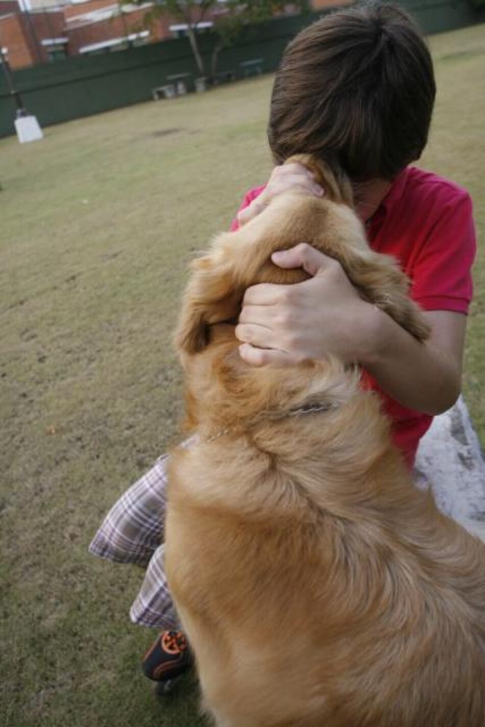 Autismo podría tener relación con el exceso de células corticales