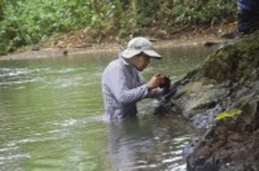 Una ventana al pasado