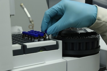 Panamá busca atraer hasta 50 científicos extranjeros con flexibilización migratoria