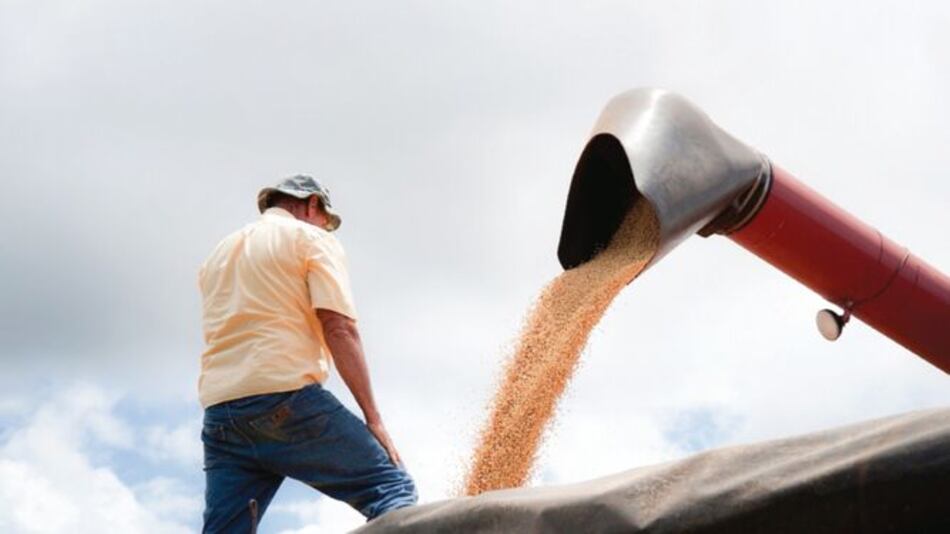 Agroindustriales rechazan reforma tributaria