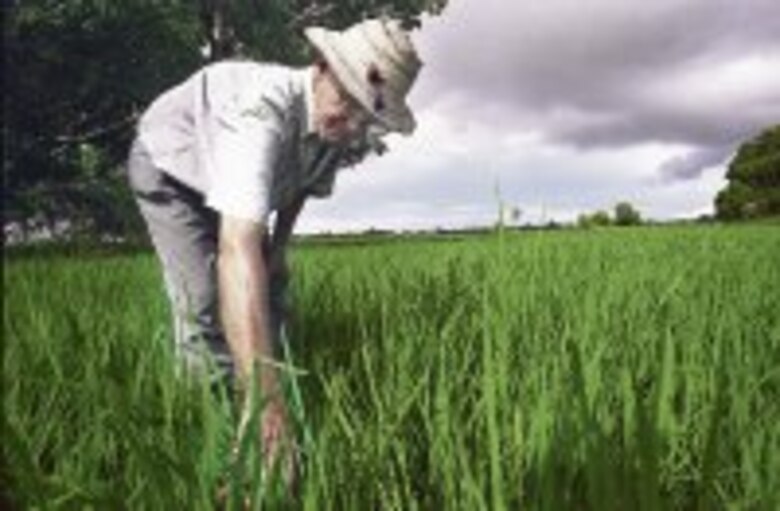 Volver a producir granos básicos