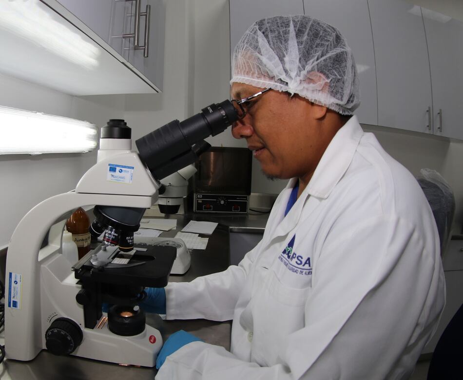 Aupsa detecta peras procedente de China infectadas con gusano