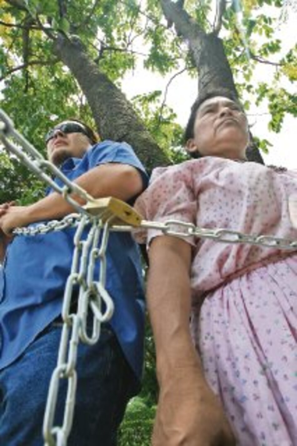 Siembras y protestas en el Día del Árbol