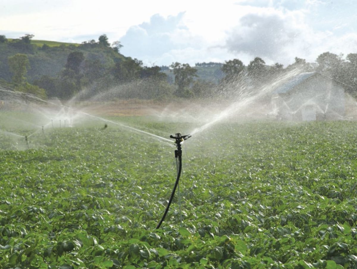 Agua: perspectiva de vida y uso agropecuario