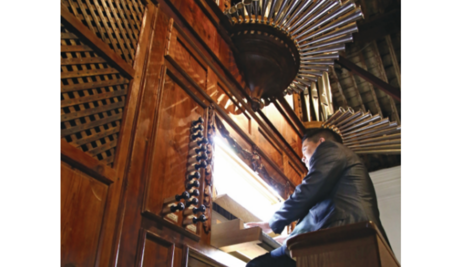 La semana de los órganos de tubos