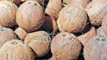 Biodiversidad y riqueza genética de interés para la ciencia y el desarrollo