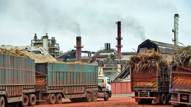 Productores intentan evitar una disputa