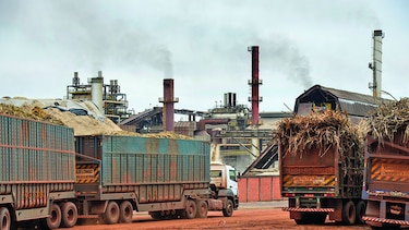 Productores intentan evitar una disputa