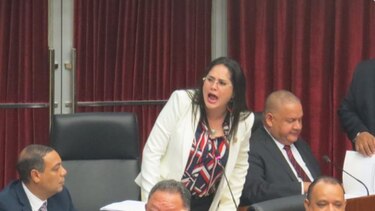 La música extranjera, nuevo objetivo de propuesta de ley