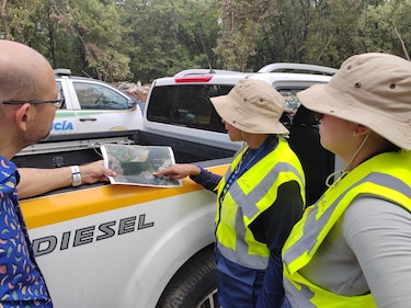 Tala ilegal en humedal bahía de Panamá: Miambiente paraliza obra y abre proceso legal