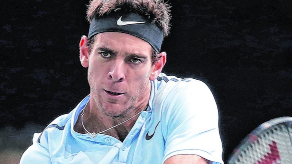 Del Potro avanzó a los cuartos de final