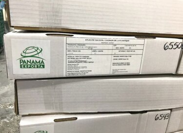 Aprueban exportación de salmón transgénico