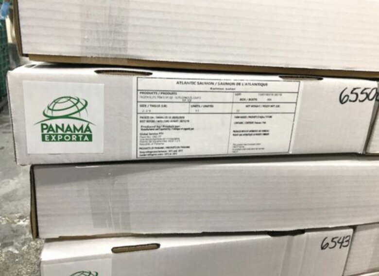 Aprueban exportación de salmón transgénico