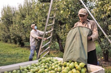 Número de vacantes de trabajo en Estados Unidos se acerca a nivel histórico