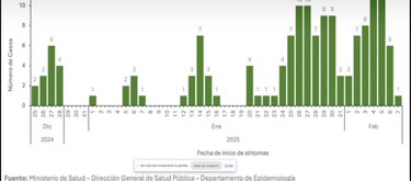 Oropouche: infección similar al dengue, ¿cepa proveniente de Italia, Cuba o Brasil?