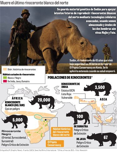 Nueva ‘extinción masiva’