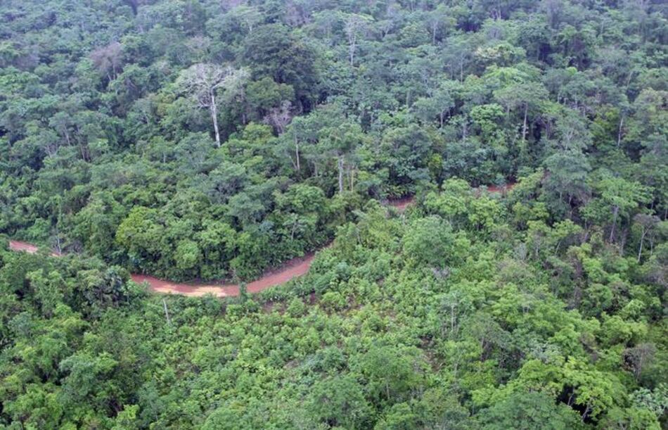 Proyecto de ley busca reducir límites de área de cacería