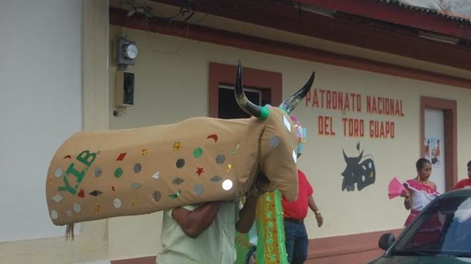 El Toro Guapo salta en la plaza de Antón