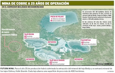 Estudios revelan verdad minera