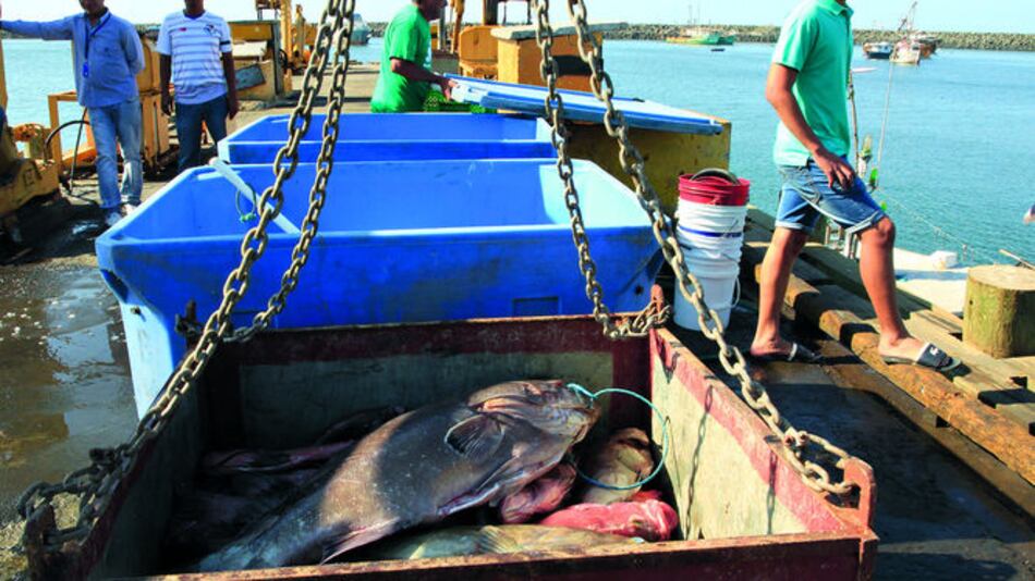 Una ventana para competir