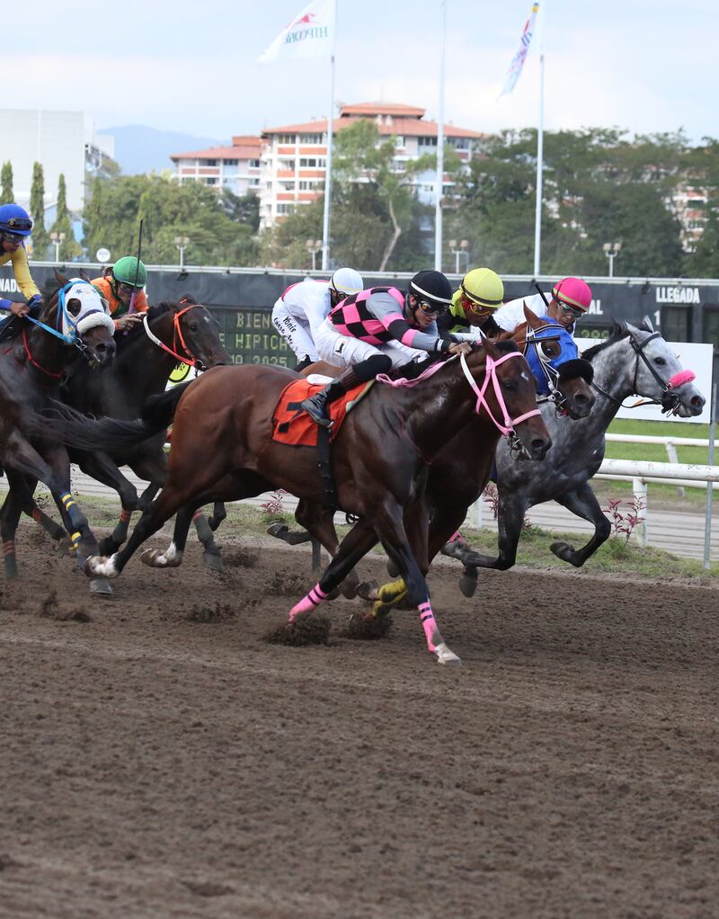 El ejemplar ‘Chief Mesa’ remontó en la recta final y se llevó el Handicap ‘La Prensa’ – ‘Mi Diario’