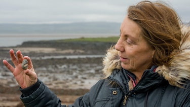 El sorprendente fósil sonriente hallado en una isla en el norte de Inglaterra