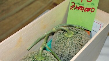 El melón más caro del mundo es japonés