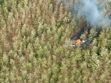 Vientos afectaron zona del accidente aéreo que dejó 12 muertos en Costa Rica