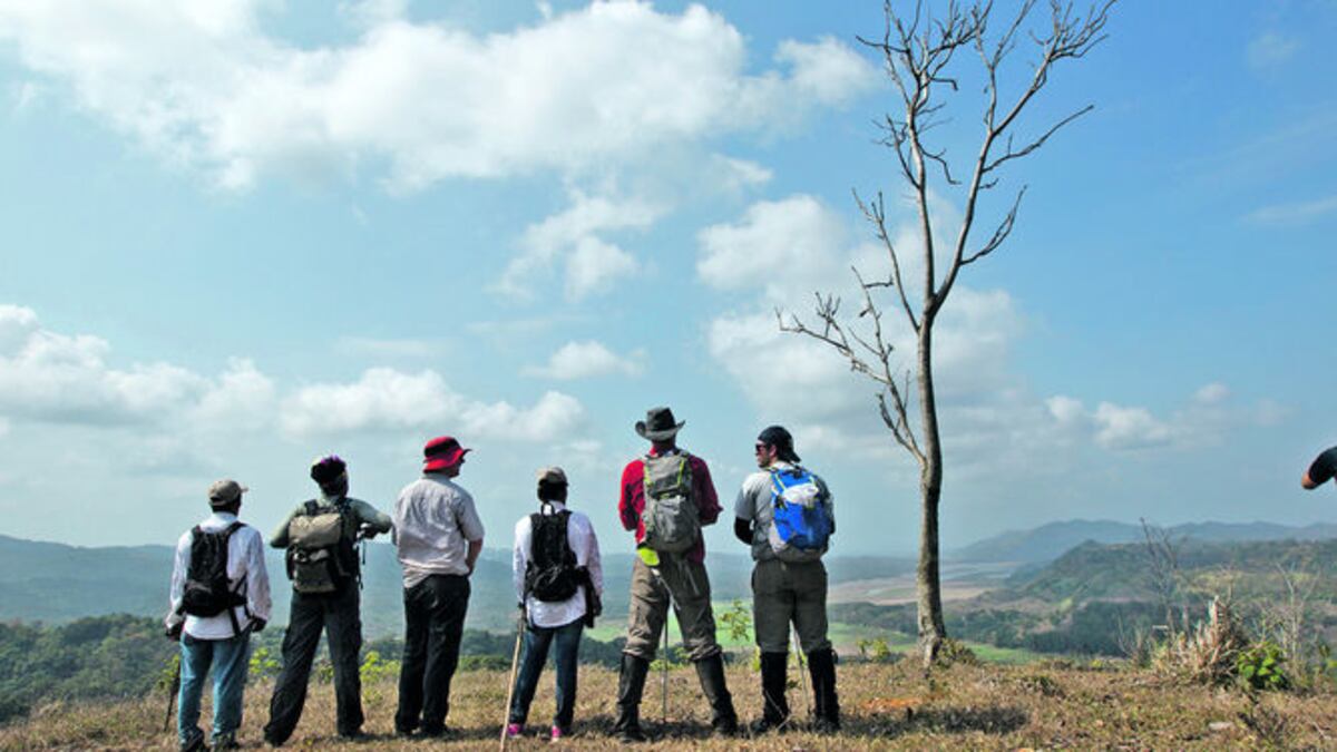 El trayecto ofrecía la vista desde lo alto de varios de los parajes del Parque Nacional Chagres.