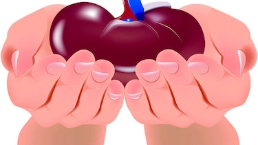 9 mitos sobre trasplante y donación de órganos