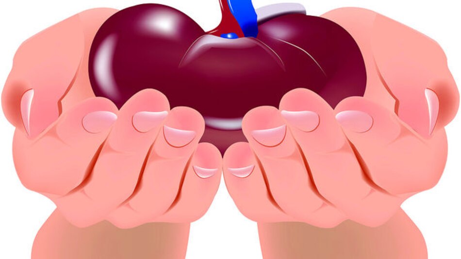 9 mitos sobre trasplante y donación de órganos