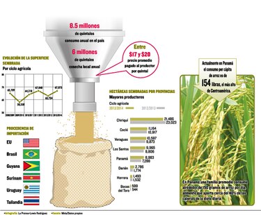 Déficit en cultivo de arroz