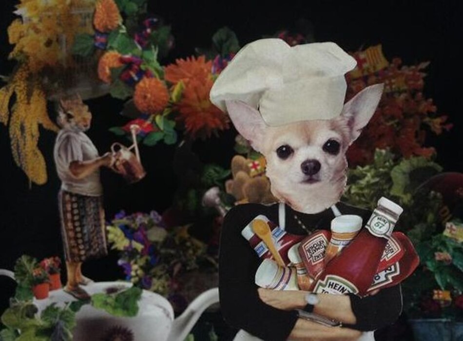 Diez 'collages' mutantes intentan definir la ciudad de Panamá