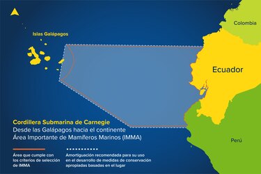 Así se protege el hábitat de los mamíferos marinos