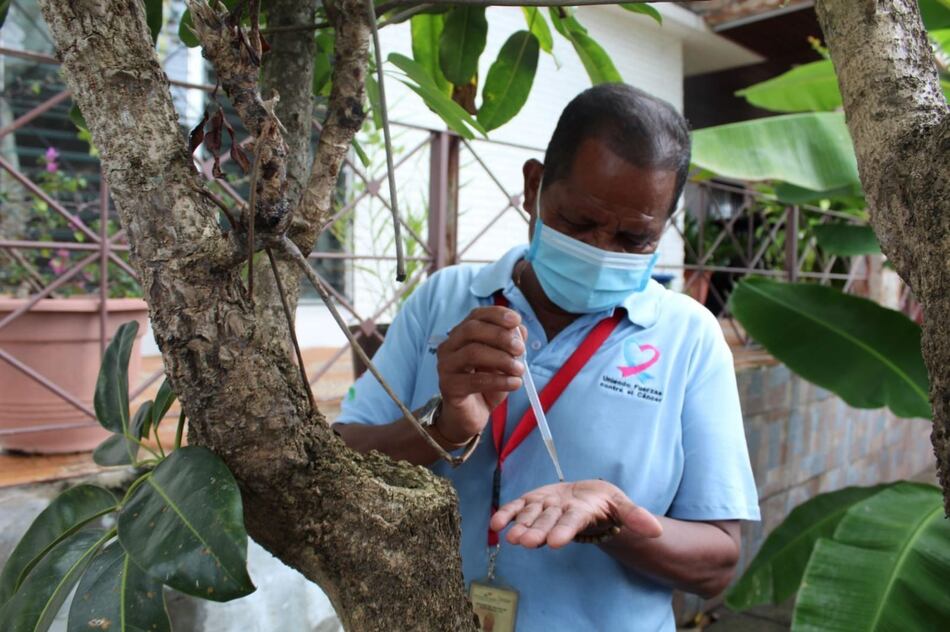 Persiste el ‘aumento’ de casos de dengue en la Región Metropolitana de Salud