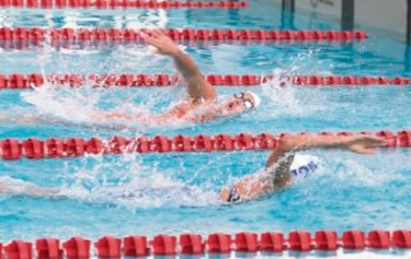 Las brazadas del Camex