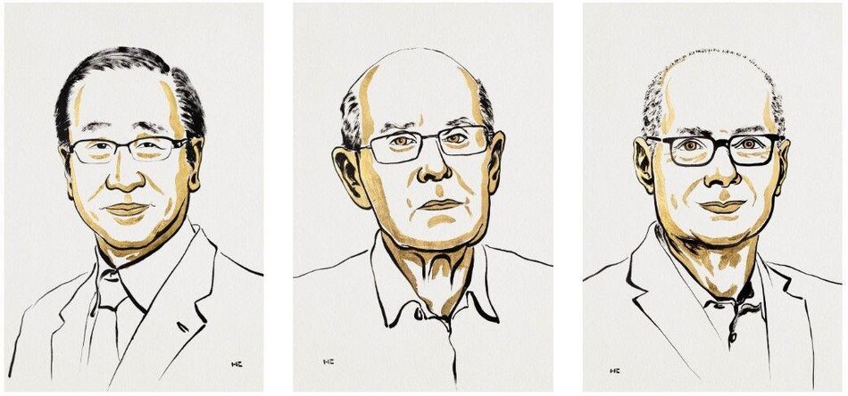 Nobel de Química es para tres científicos por el desarrollo de estructuras metal-orgánicas